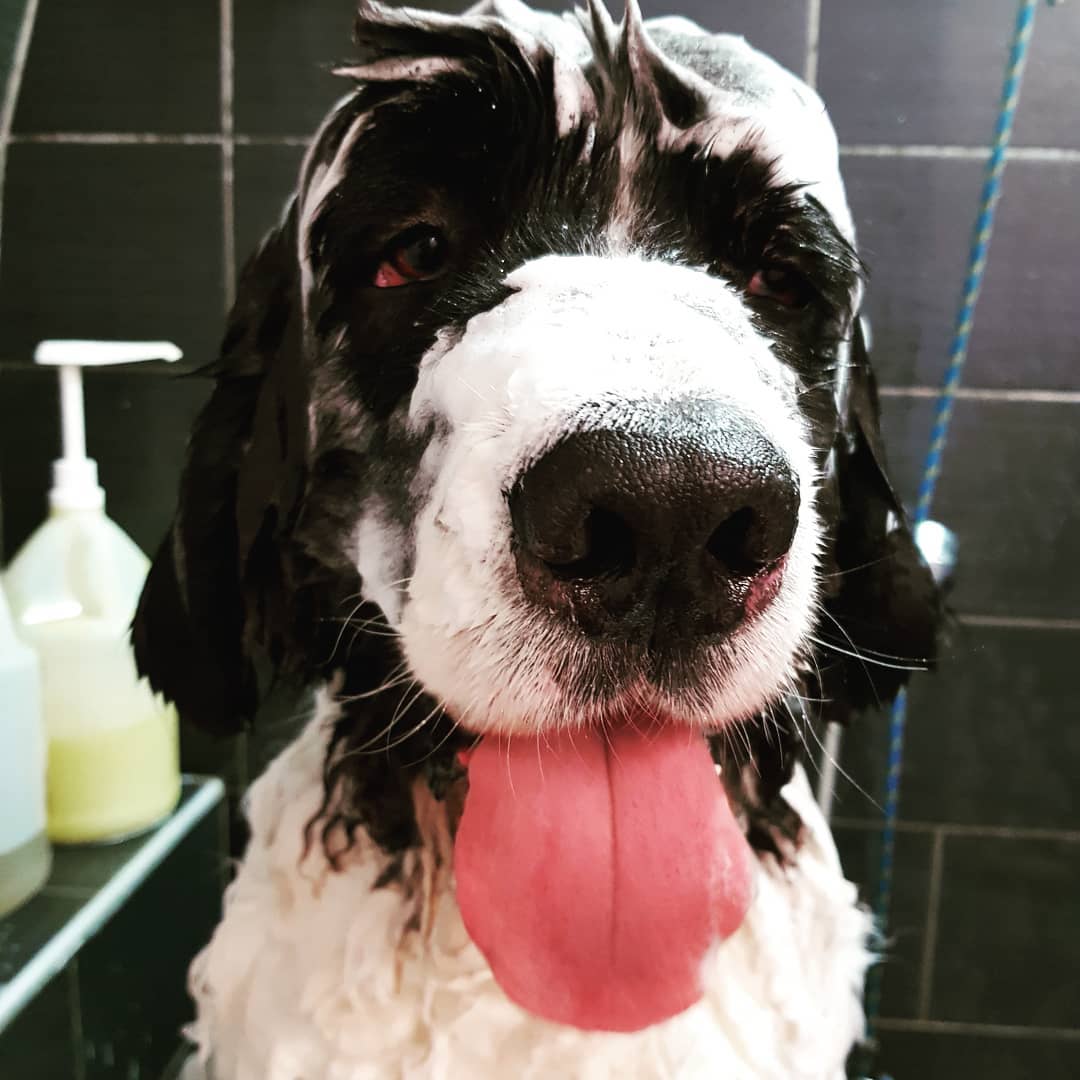 Bathing