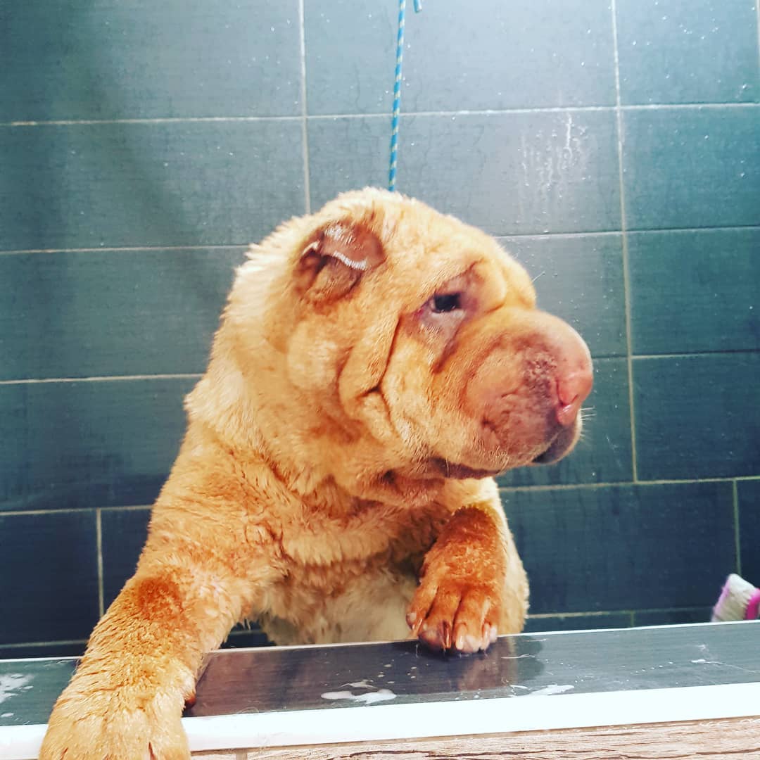 Drying